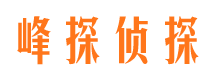 盐亭市私家侦探